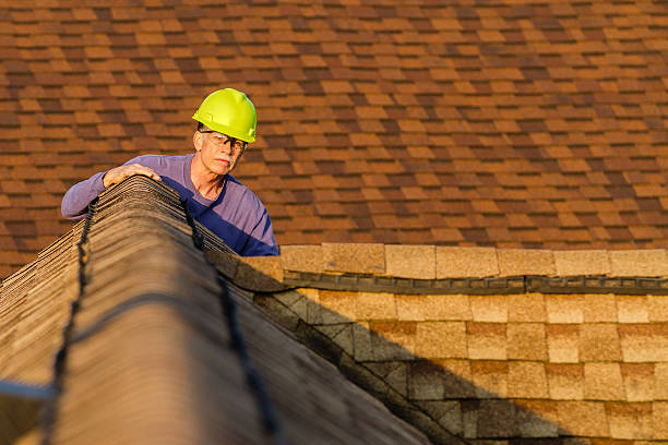 Best Storm Damage Roof Repair  in Elizabeth, PA